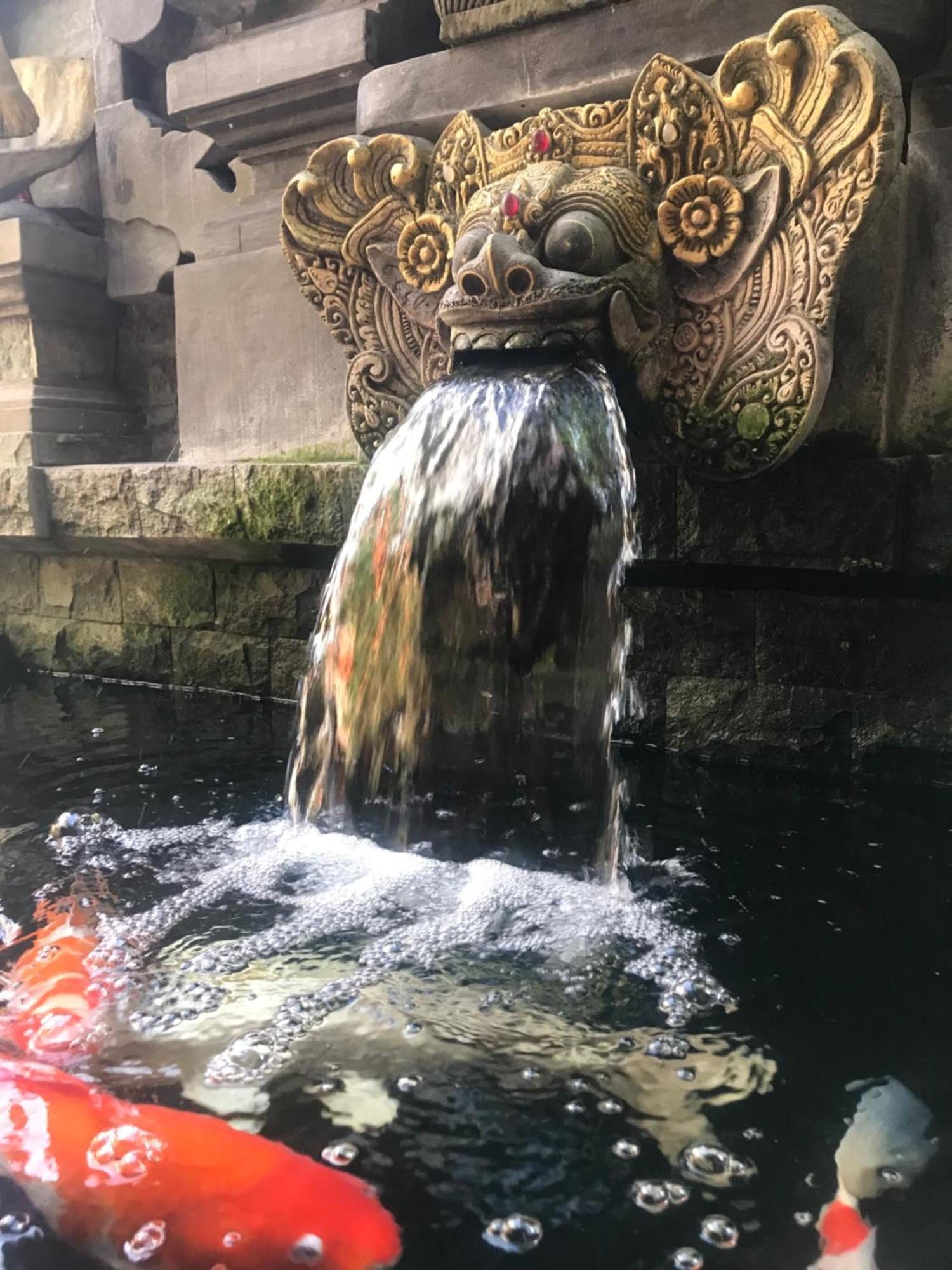 Banana Home Stay Ubud Dış mekan fotoğraf